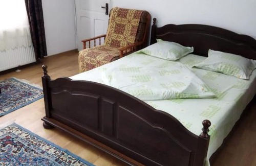 Calimanesti Apartment | Casa Iris