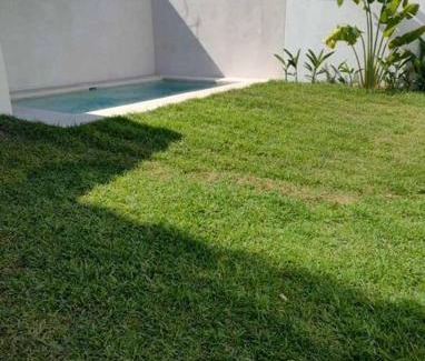 Bacocho House | Casa Maya en el mejor lugar de Puerto Escondido