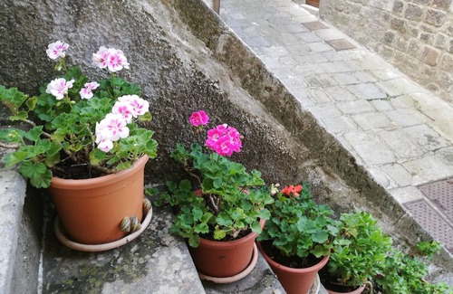 Santa Fiora House | Casa nel Borgo di Santa Fiora