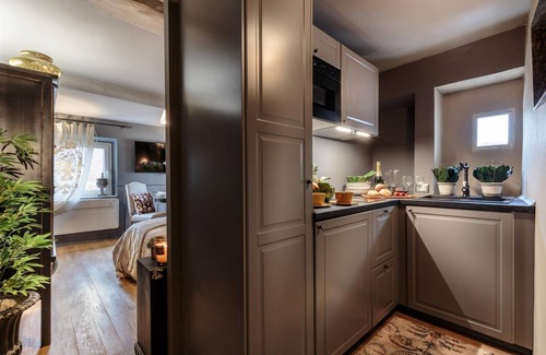 Lucca Historical Center Apartment | Casa Palatial in Lucca