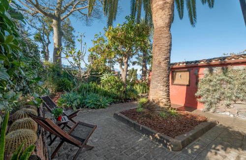 Tacoronte House | Casa Palmera - Private Paradise