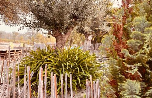 Sao Pedro do Corval House | Casa Rico Frade Garden