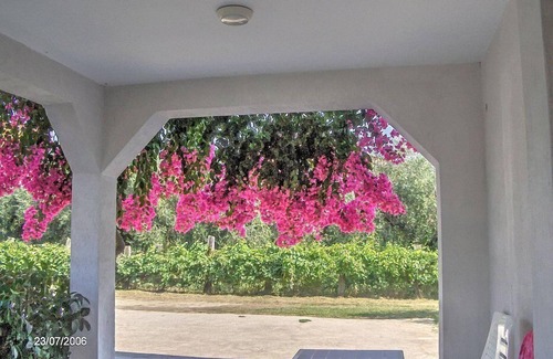 Marina di Ascea House | Casa Rosina: A welcoming apartment that is part of a villa situated at a short distance from the beach, with Free WI-FI.