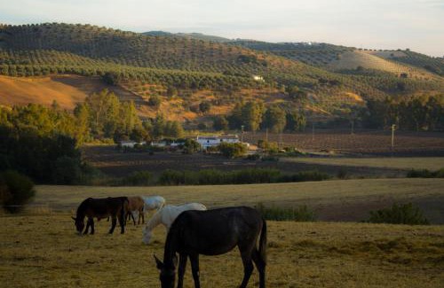 Pruna House | Casa Rural Asiento del Río