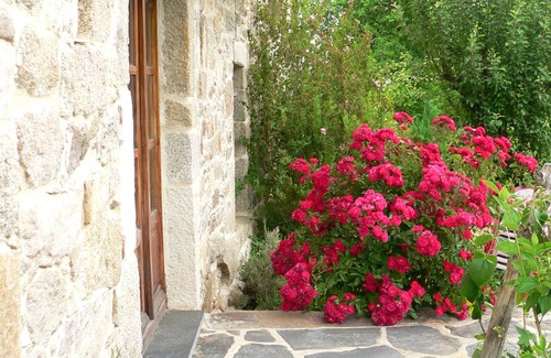 Avedillo de Sanabria House | CASA RURAL 5 * THE SEDA WORKSHOP