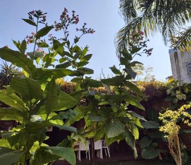 Acassuso House | Casa San Isidro pileta jardín parrilla a metros del río