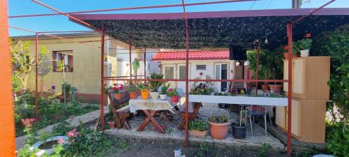 Douazeci si Trei August House | Casa Stefan