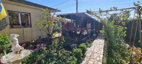 Douazeci si Trei August House | Casa Stefan