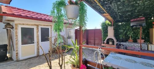 Douazeci si Trei August House | Casa Stefan