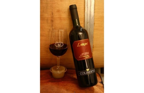 Massa Marittima House | Casa Teresa 2 -Vacation between countryside and sea, garden and swimming pool