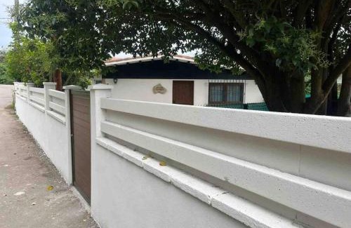 Calera House | Casa Tomas