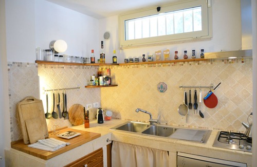 Cisternino Villa | Casa Trullo Chiara - Relax among the olive trees near Cisternino
