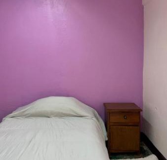 Oaxaca House | Casa tulipán