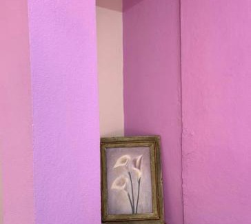 Oaxaca House | Casa tulipán