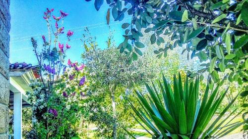 Baiao Bed & Breakfast | Casa Vale do Rio Ovil