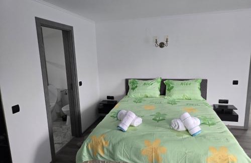Tautii-Magheraus Villa | Casa Valy