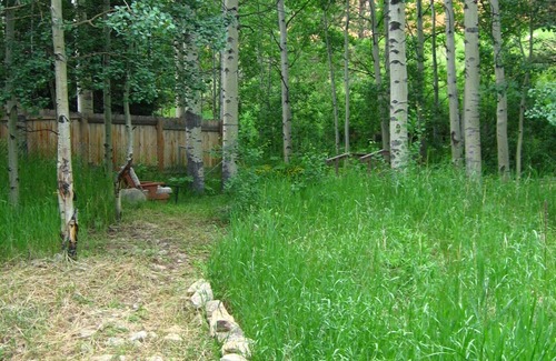 Allenspark Cabin | Cascading Creek Log Cabin