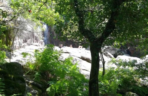 Vieira do Minho House | Casinha do João no Gerês