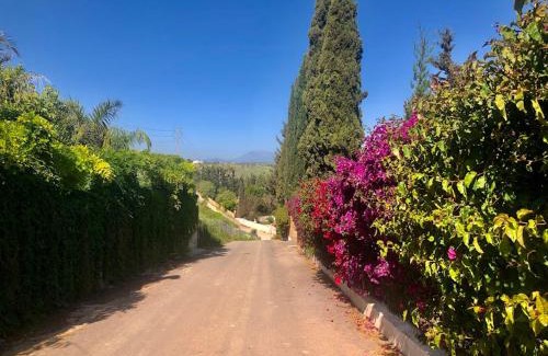 Alhaurin de la Torre House | Casita Azahar Andalucia