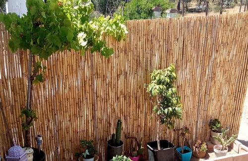Valverde del Camino House | Casita de campo encantadora
