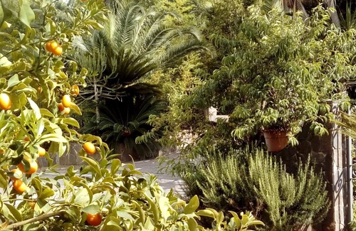 Drapia House | Casita GioJa a2km from TROPEA