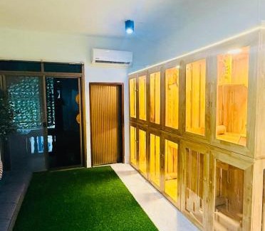 Hat Yai Other | Cat Hotel Hatyai by Krissana Mansion cat only