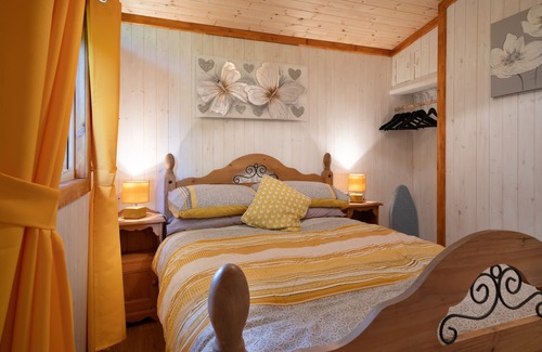 Cenarth Ski Chalet | Catkin Lodge set in a Beautiful 24 acre Woodland Holiday Park