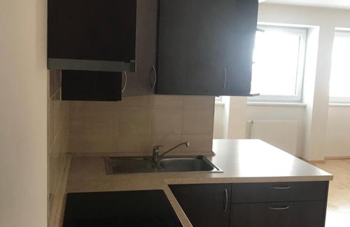 Tehovec House | Celý byt plně vybavený , příroda