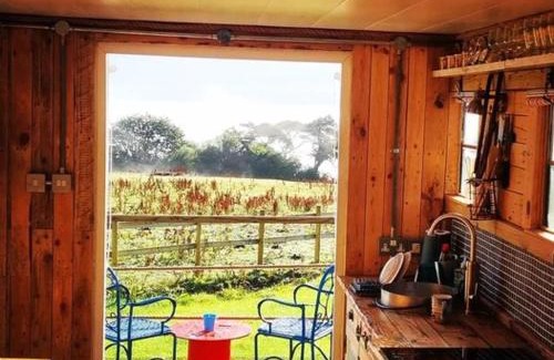 Aberaeron Other | Celaeron Glamping