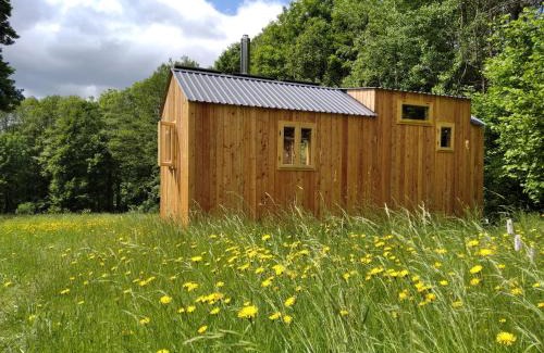 Vyprachtice Cabin | Celoroční GLAMPING v pohodlném domečku