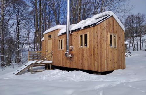 Vyprachtice Cabin | Celoroční GLAMPING v pohodlném domečku