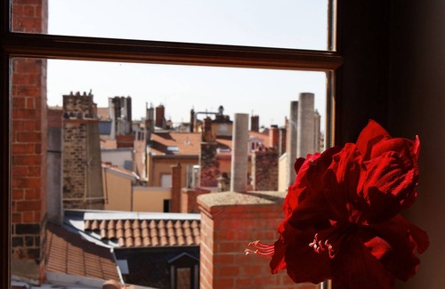 Terreaux - Bat d'argent Apartment | Center of Lyon, unique loft with terrace and 360 ° view