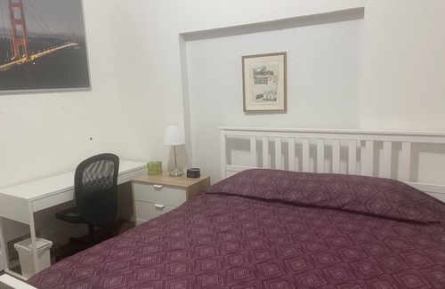 Buena Vista Apartment | Center of the City - Only Victorian with 4 King Sized Beds -The largest space!