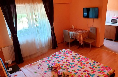 Baile Felix Apartment | Central Accommodation Baile Felix