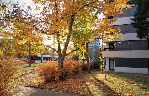 Tullnau Apartment | Central-Apt at Lake, CityCenter 5min, Fair 18min!