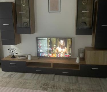 Hunedoara Apartment | central studio LCS