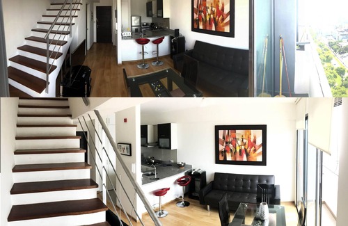 Lince Apartment | Centrally located and exclusive duplex apartment