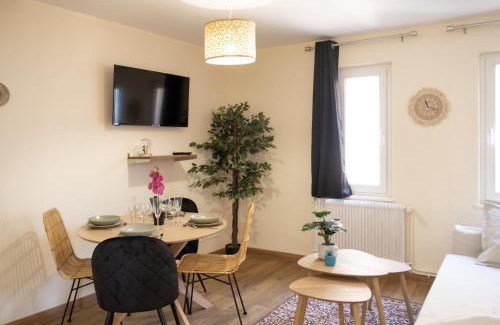 Saverne Apartment | Centre Ville - Cocon Des Bois - Gare