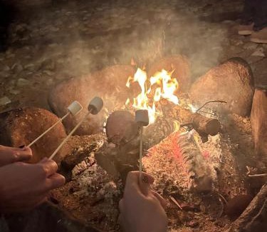 Guabiruba House | Chácara charmosa com piscina e natureza