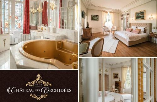 Saint-Hilaire-Saint-Florent Bed & Breakfast | Château des Orchidées en Val de Loire
