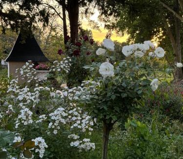 Doue-la-Fontaine Bed & Breakfast | Château des quatre tourelles