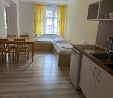 Bartosovice v Orlickych horach House | Chata Orlice