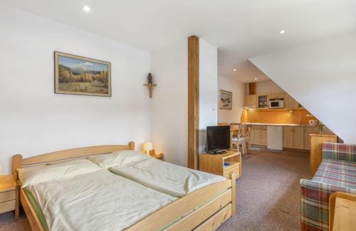 Harrachov Ski Chalet | Chalet Anenské údolí by Interhome
