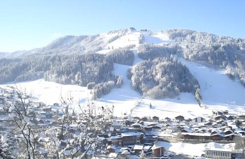 Morzine Ski Chalet | Chalet Arnica