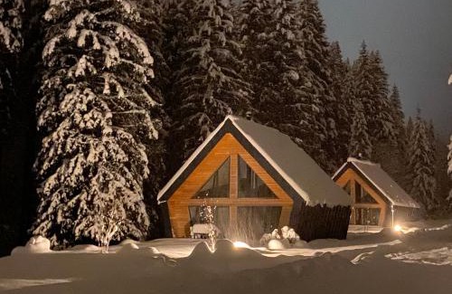 Zelezna Ruda Ski Chalet | Chalet Belveder Horská chata