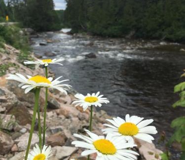 Saint-David-de-Falardeau Ski Chalet | Chalet du Versant Nord