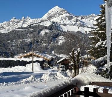 Cohennoz Ski Chalet | CHALET FAMILIAL AU PIED DES PISTES ET COMMERCES