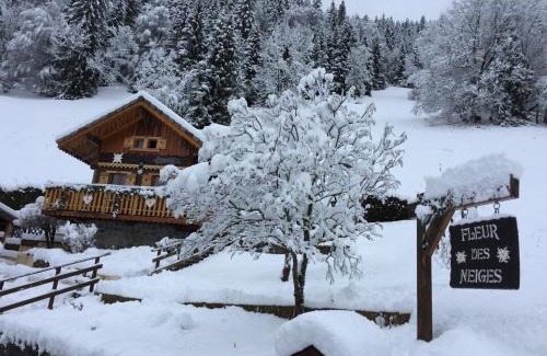 Saint-Jean-dʼAulps Ski Chalet | Chalet Fleur des Neiges