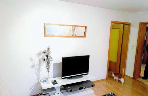 Weitensfeld Apartment | Chalet in Flattnitz near Ski Slopes & Lakes