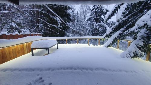La Bresse Ski Chalet | CHALET LE DAHU "jacuzzi"